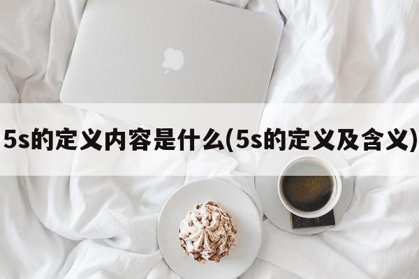 5s的定义内容是什么(5s的定义及含义)